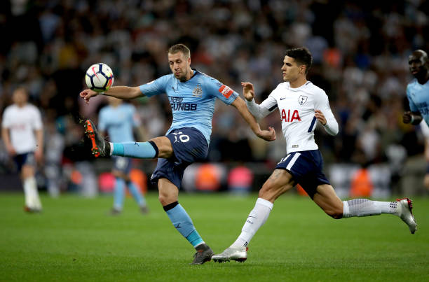 这不仅展示 这不仅展示