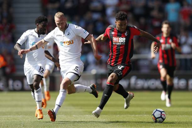 叶品秀的动 叶品秀的动